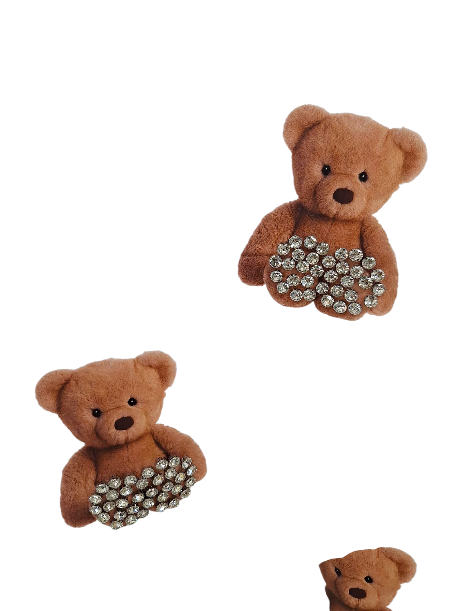 T-shirt Teddy