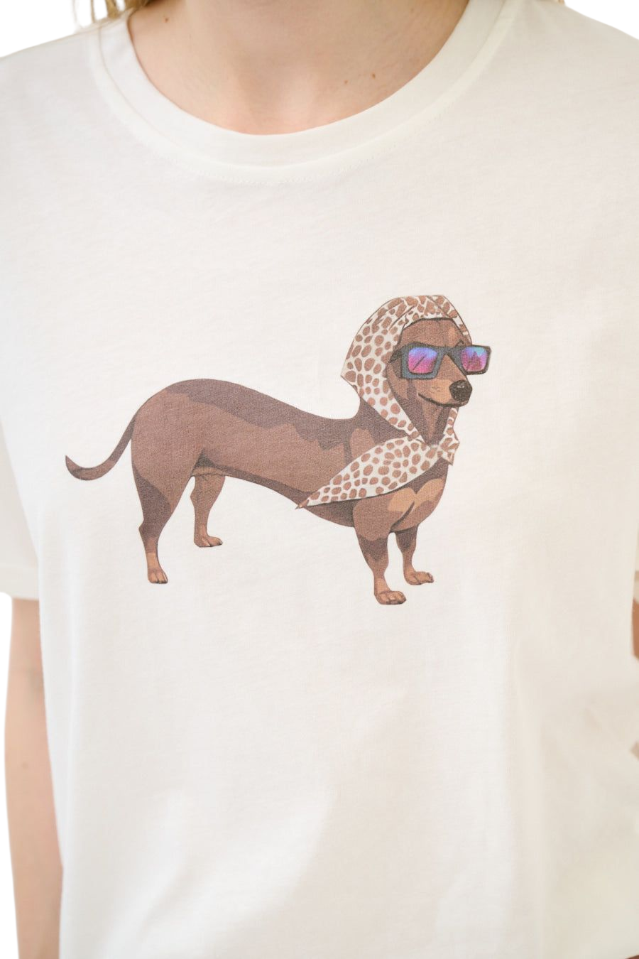 T-shirt Bassotto
